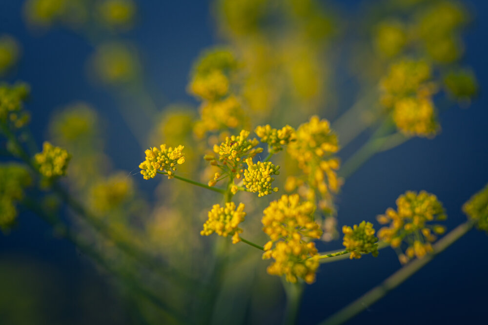 Photograph by Денис Дорошенко