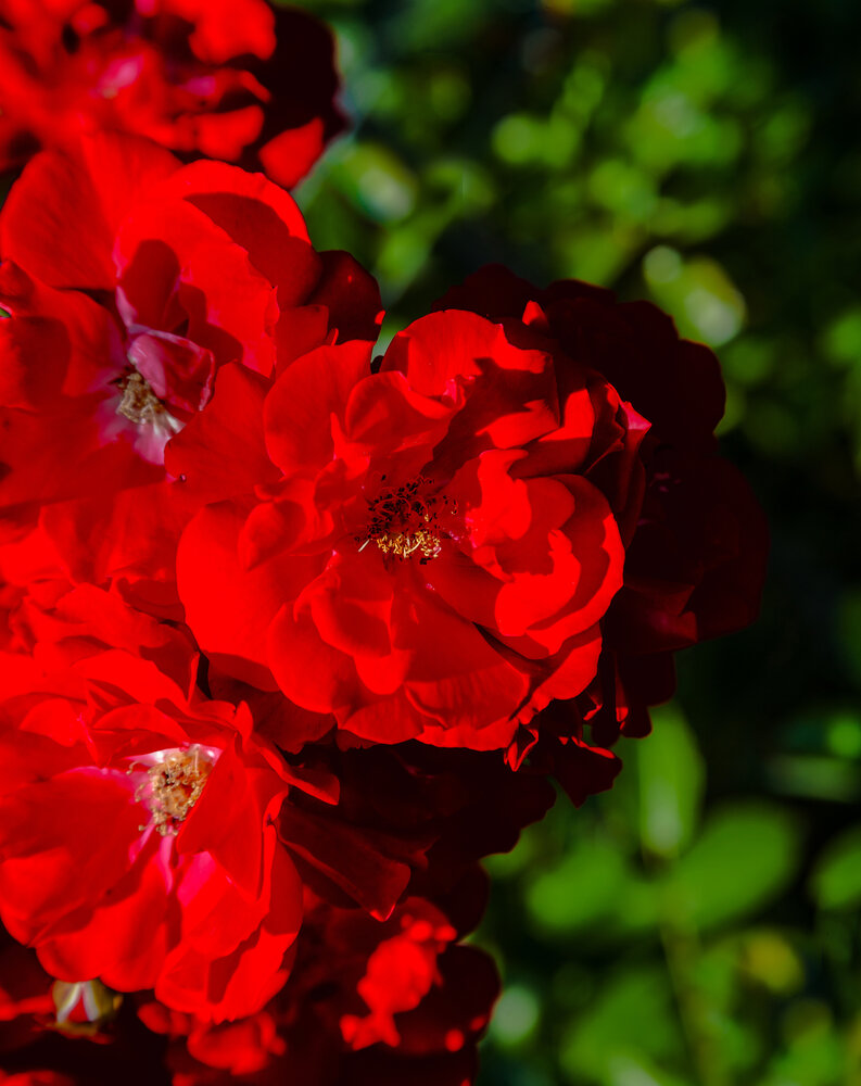 Photograph by Дмитрий Матвеев