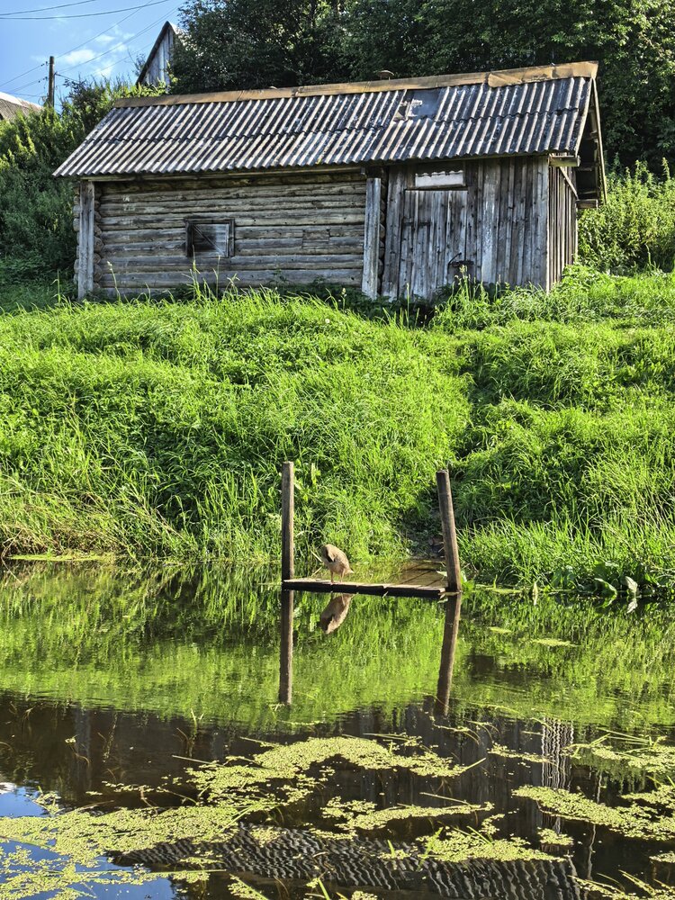 Photograph by Александр Порохов
