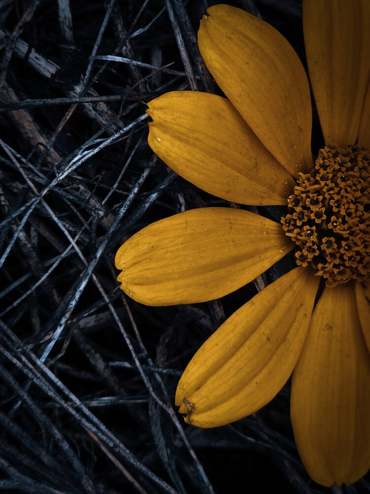 Photograph by Ирина Хлебникова