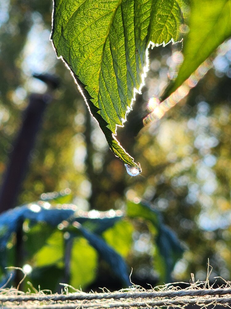 Photograph by Екатерина Моисеева