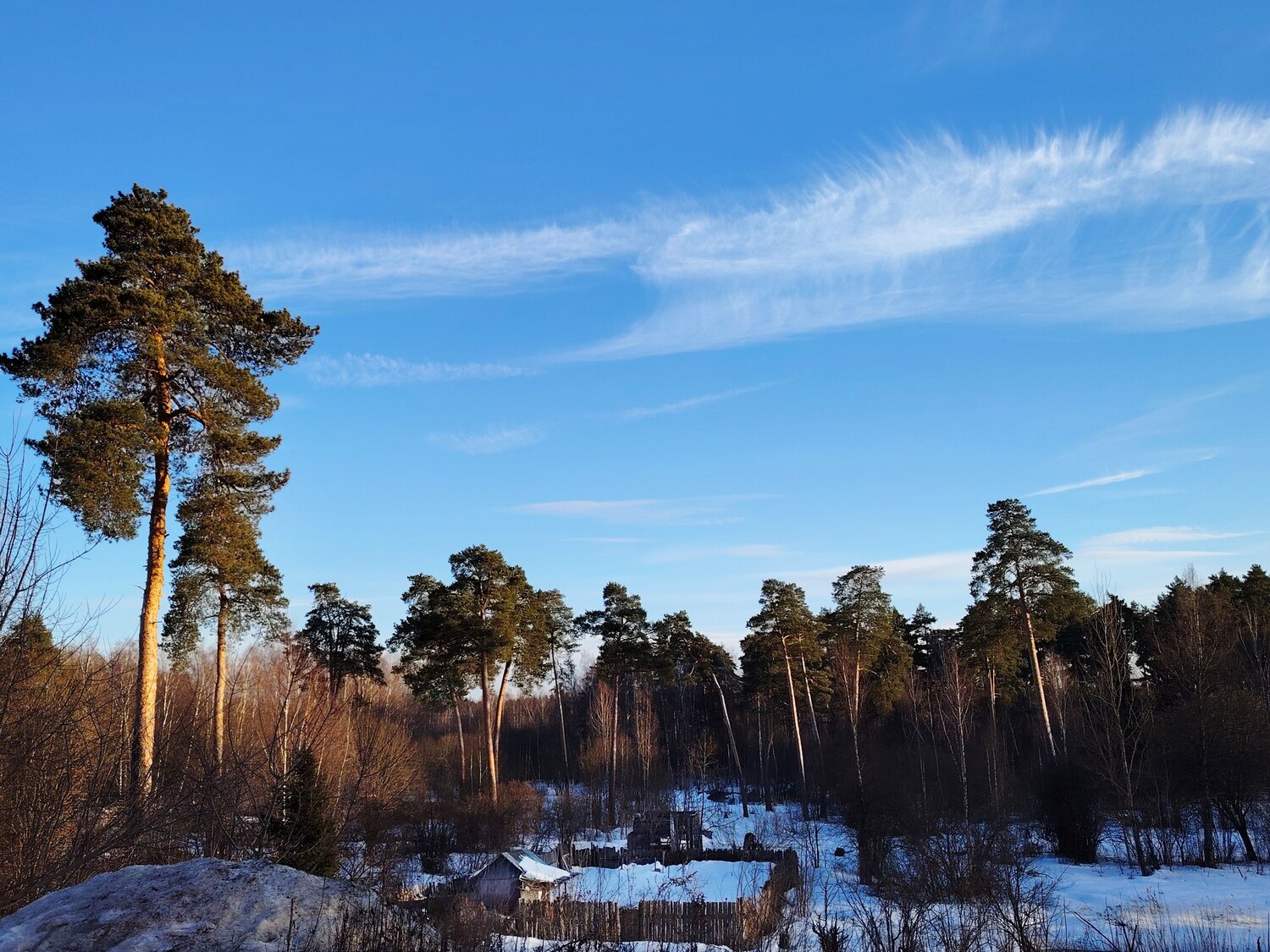 Photo #13911869