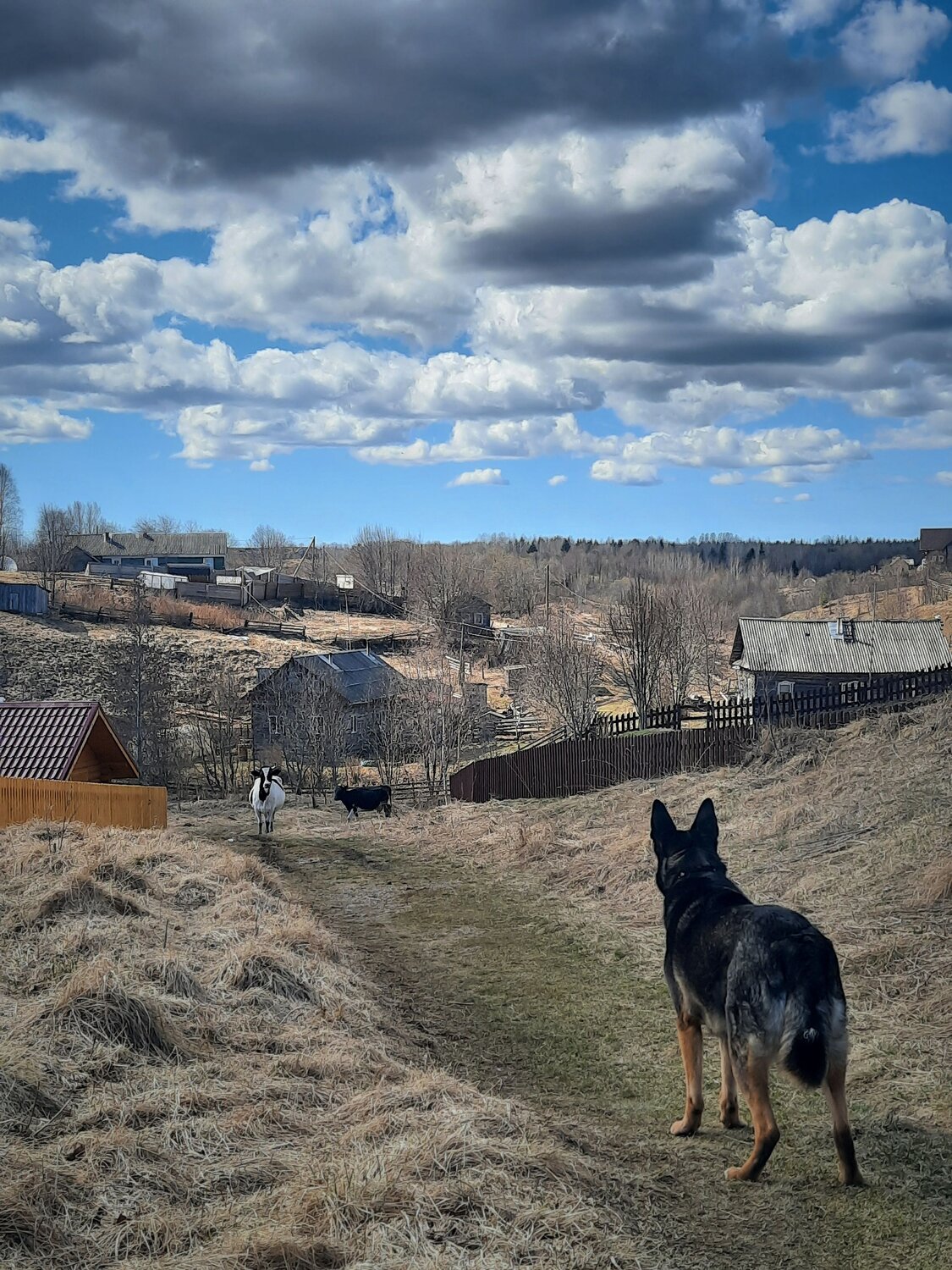 деревенские переглядки