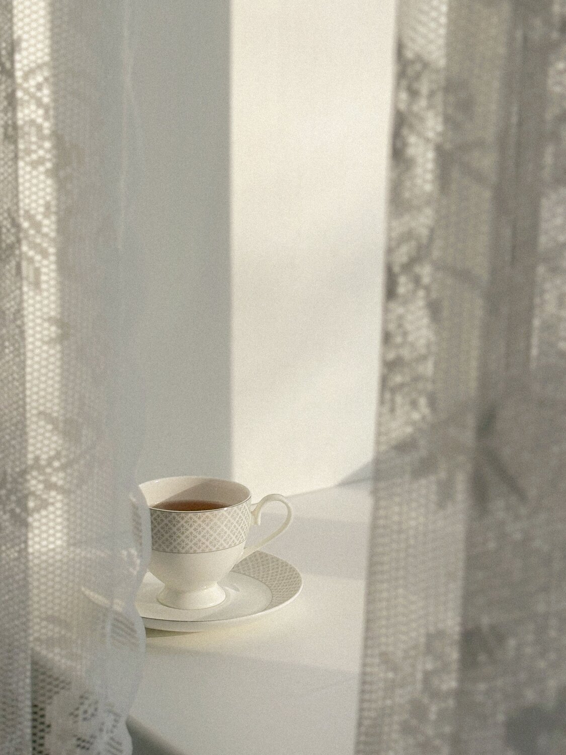 Photo #13911939