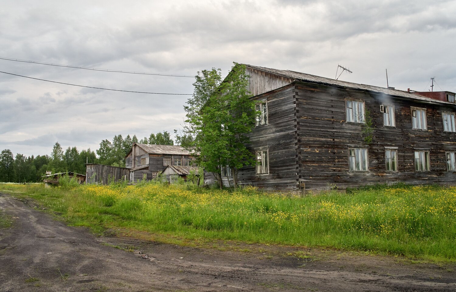 Photo #13911949