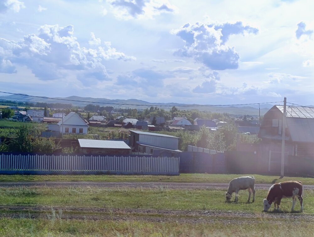 Photograph by Алена Марченко