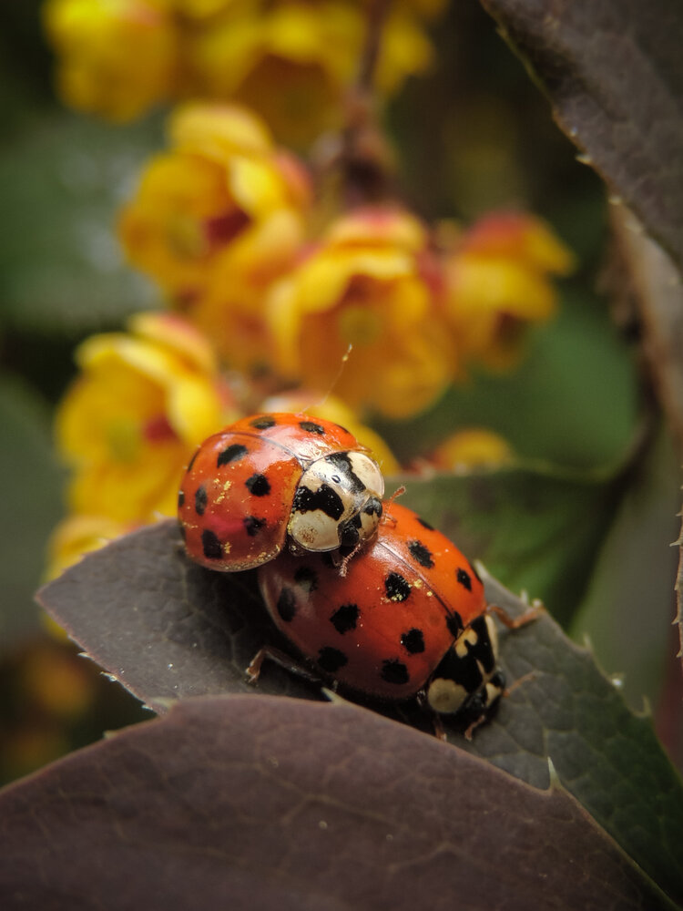Photograph by Игорь Сухаревич