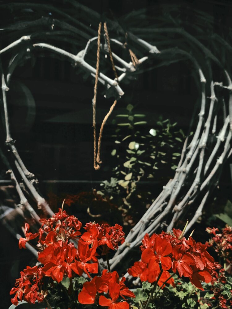 Photograph by Natalia