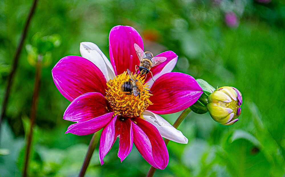 Photograph by Любовь Ключева