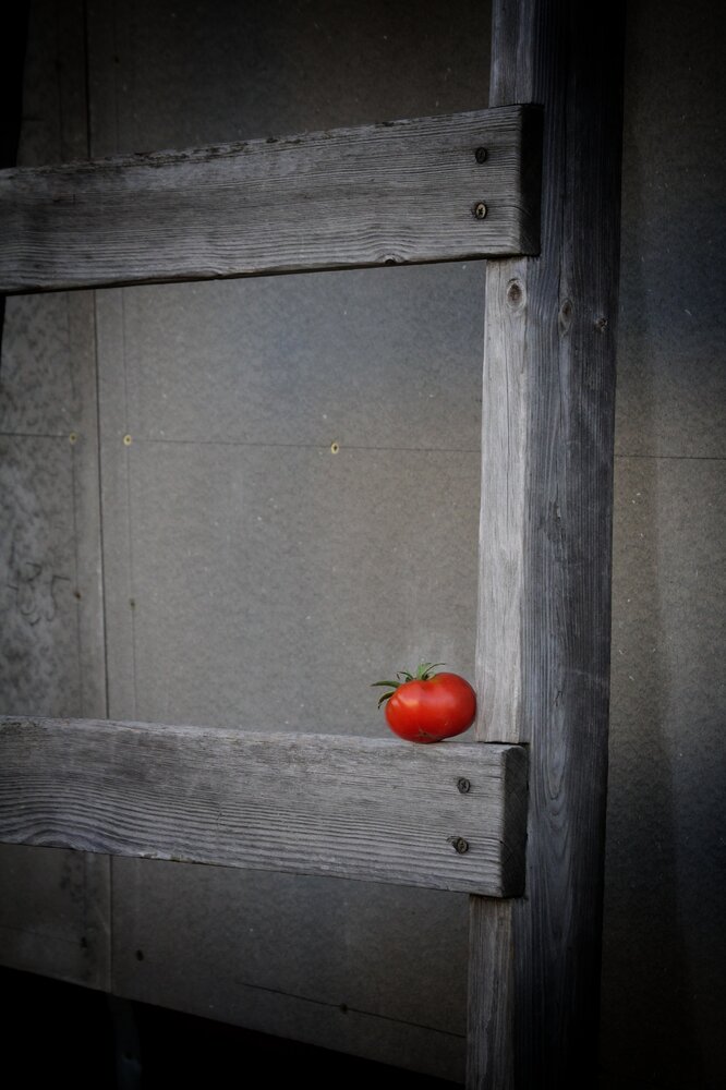 Photograph by Ольга Решетникова