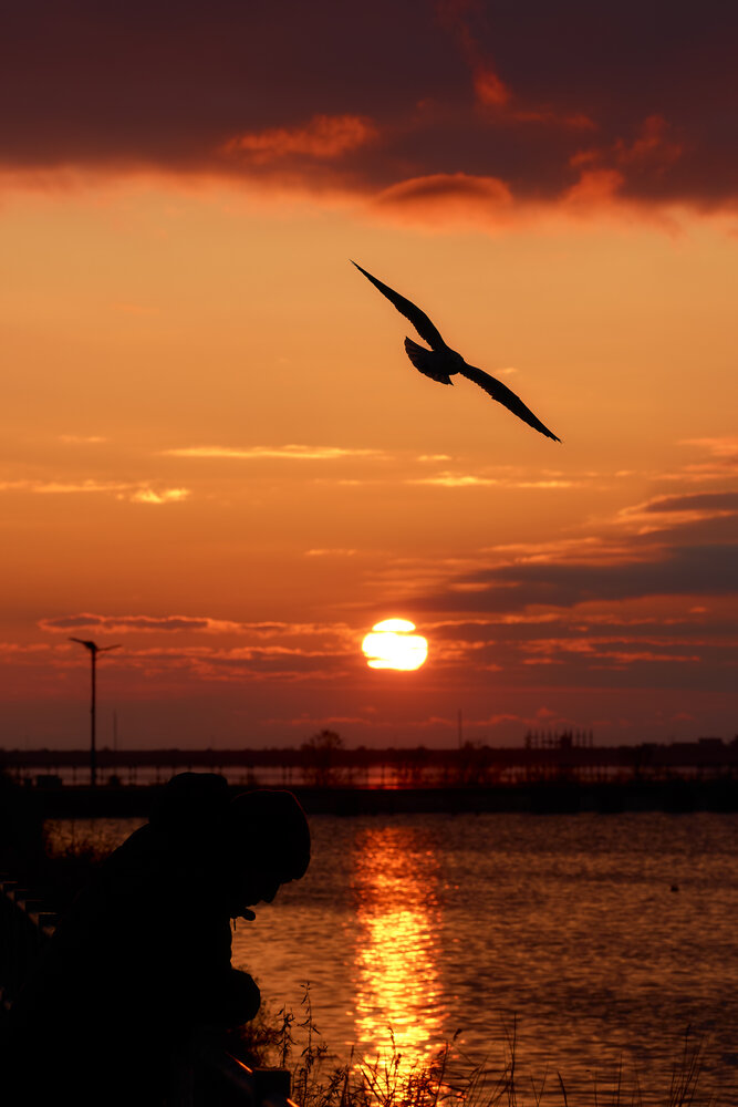 Photograph by Ян