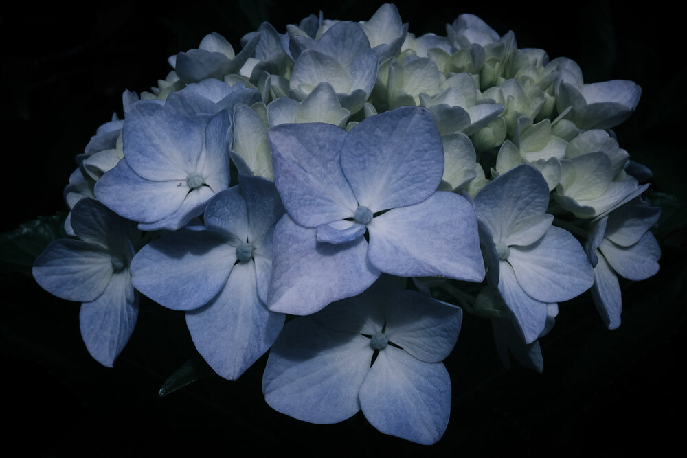 Photograph by photo_booooy