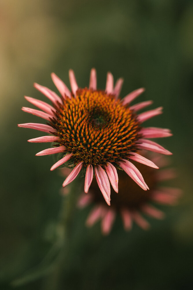 Photograph by Наталия Котович