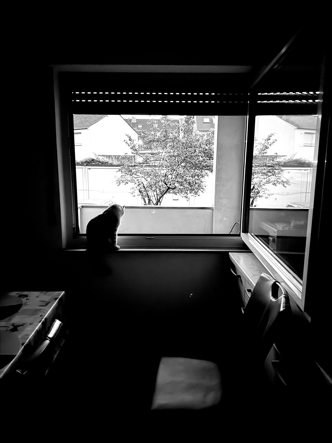 Photo #13912209