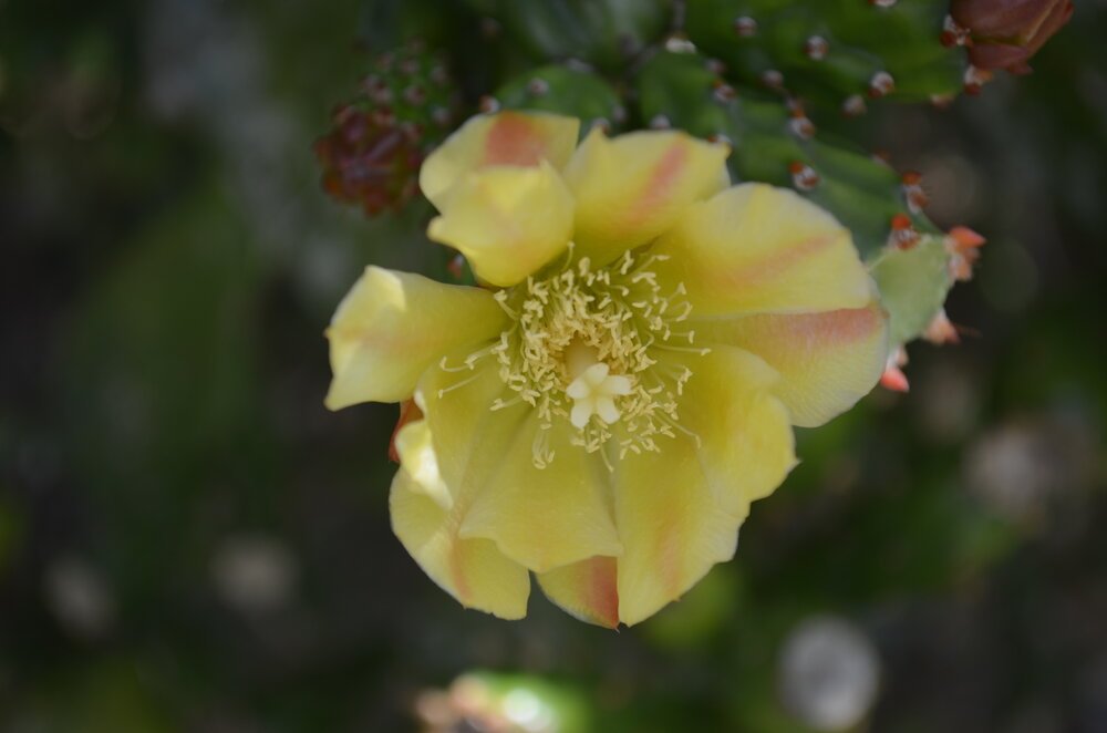 Photograph by Luis Miguel Báez Díaz