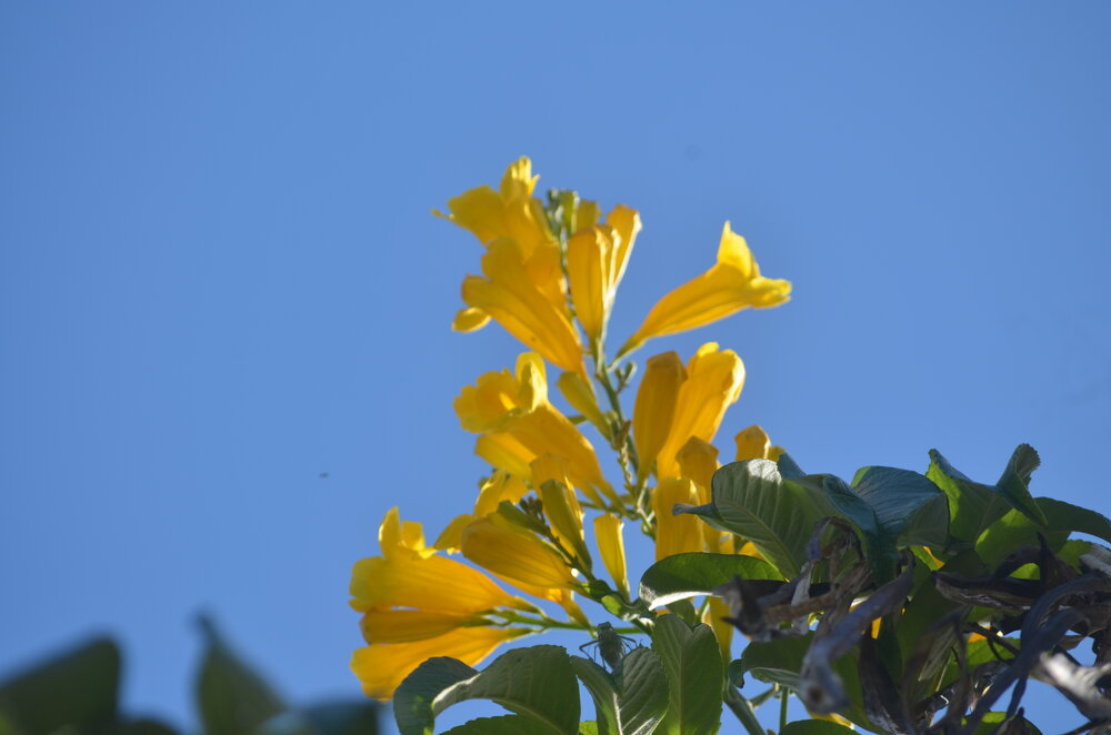 Photograph by Luis Miguel Báez Díaz