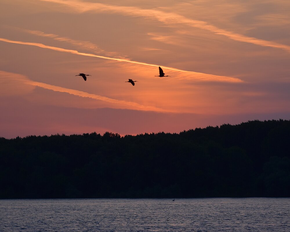 Photograph by Елена Василева