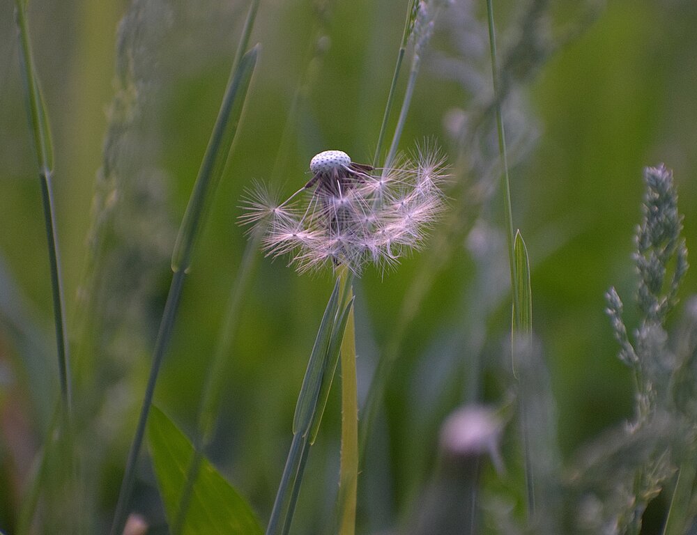 Photograph by Елена Василева