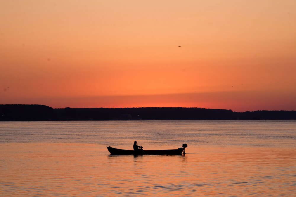 Photograph by Елена Василева