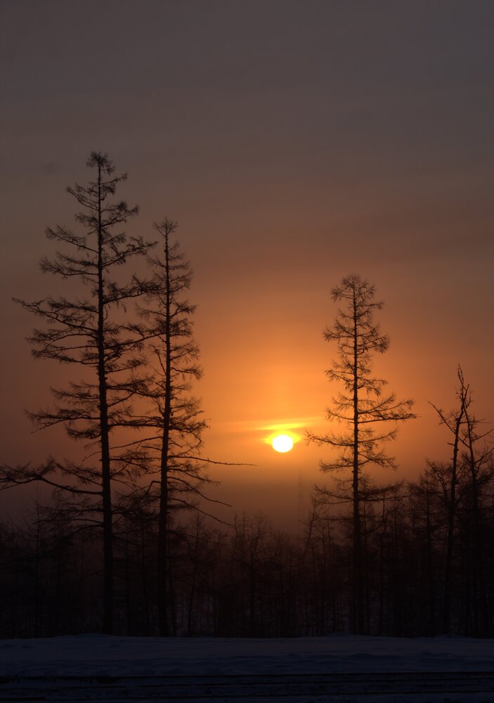 Photograph by Михаил Мархинин
