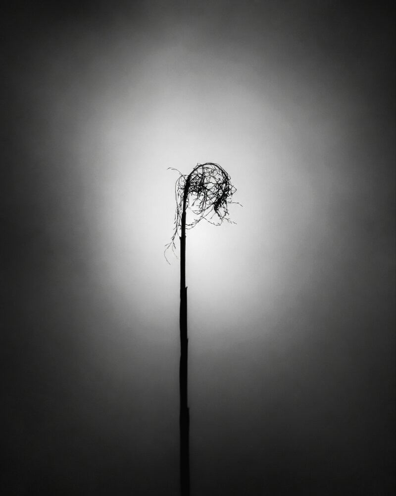 Weight of Silence
