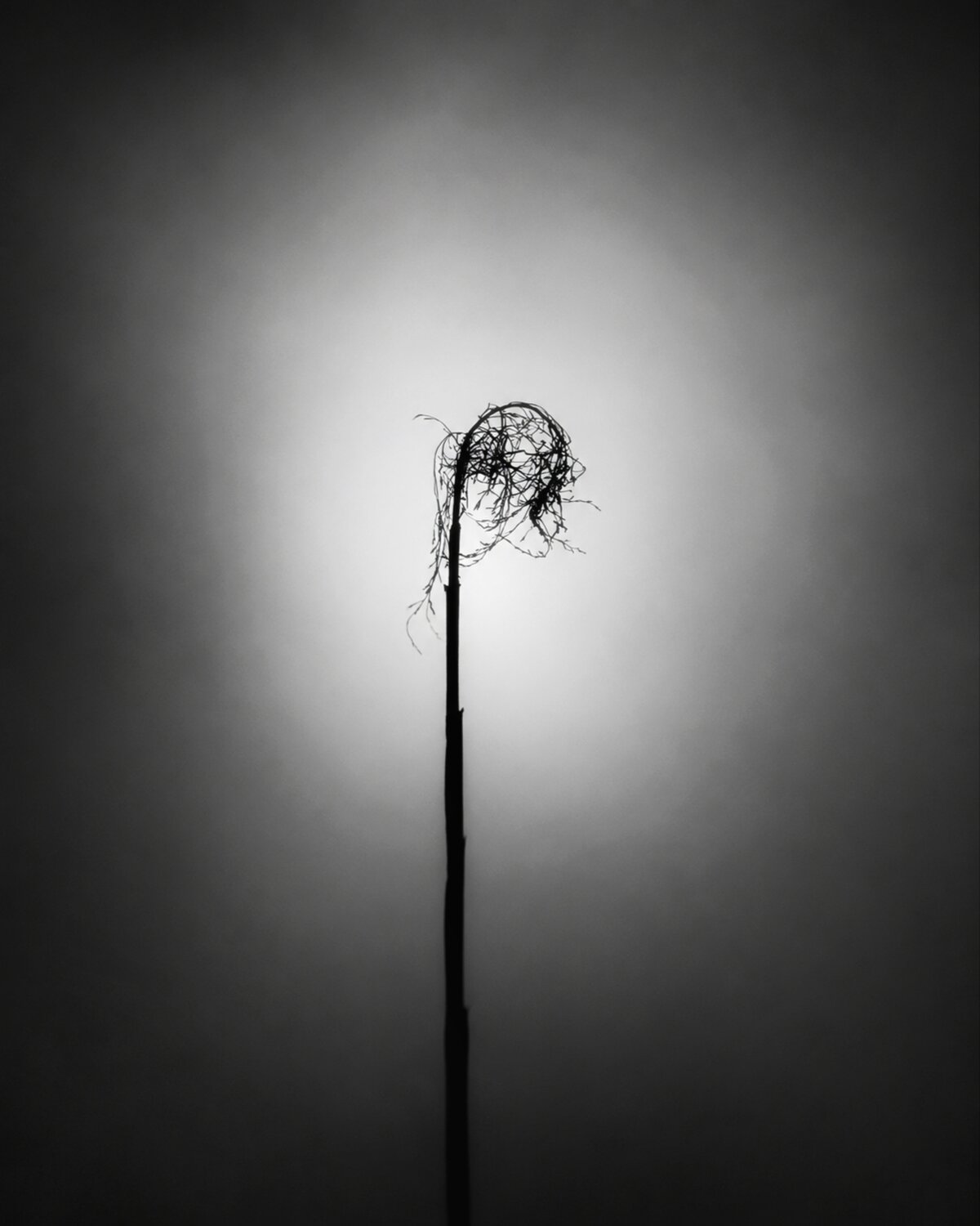 Weight of Silence