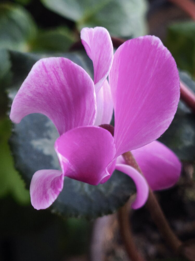 Photograph by Nadaškić Jasminka