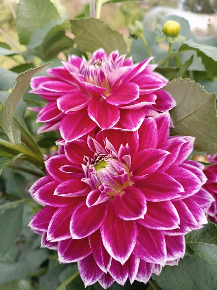 Photograph by Елена Колышева