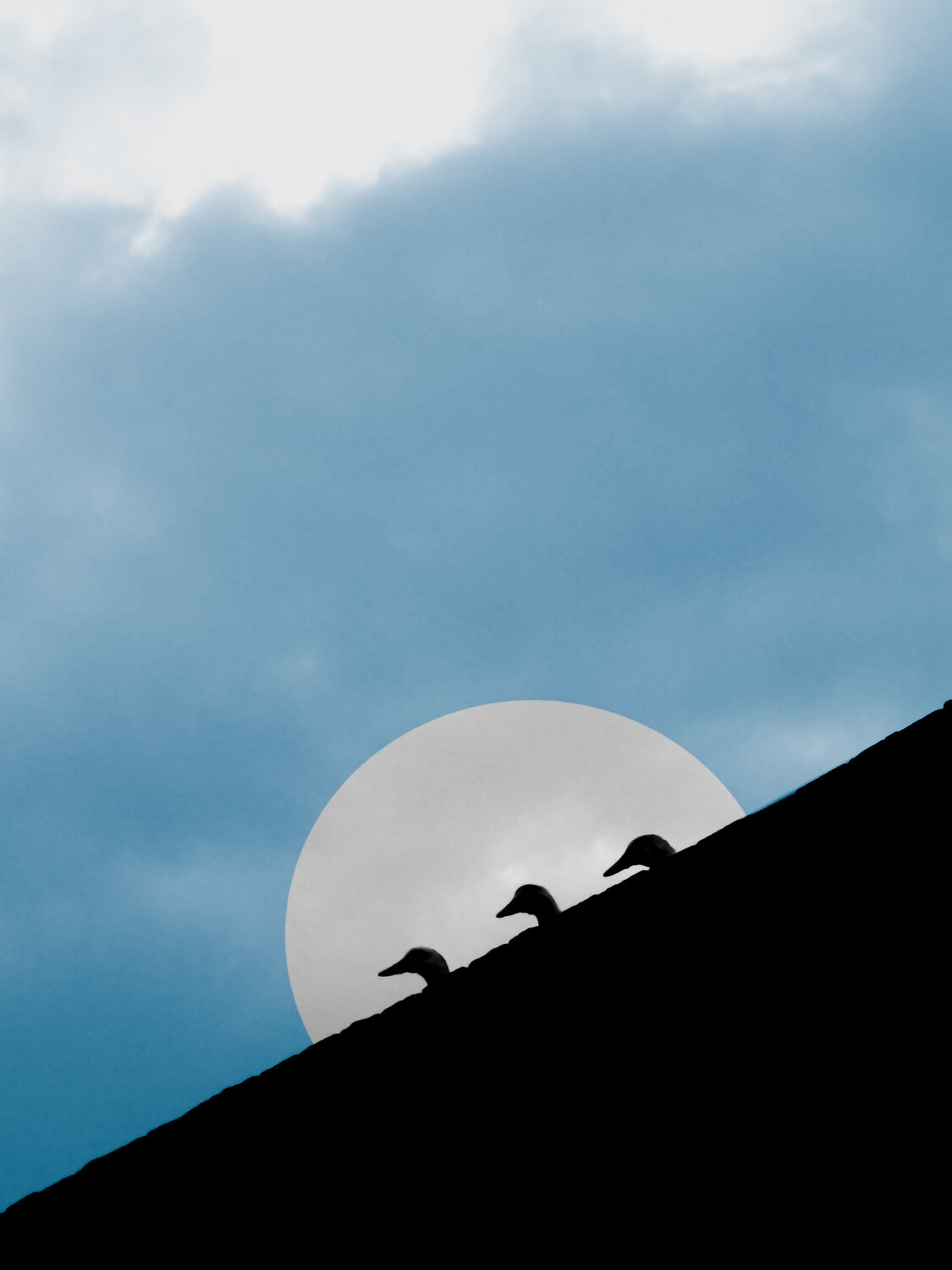 The three observers