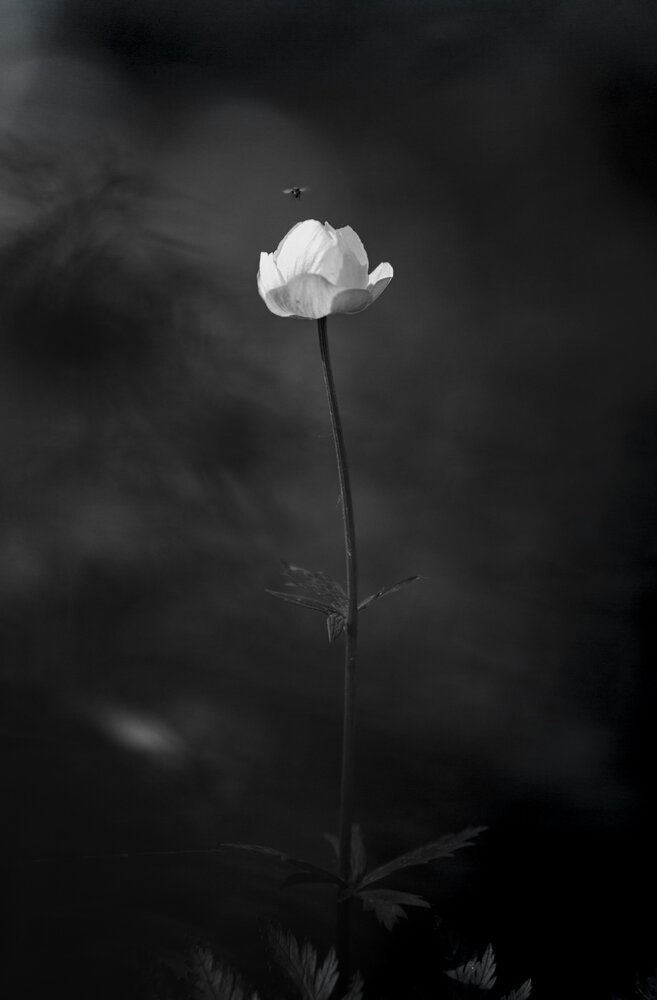 Photograph by Павел Гавриков