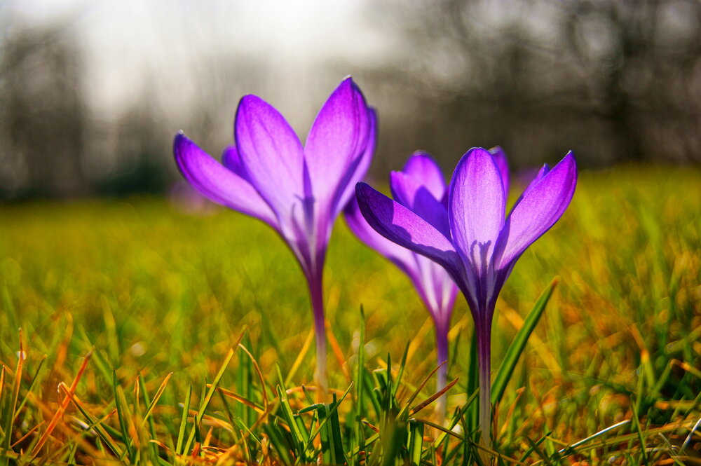 Photograph by Sergej Roor