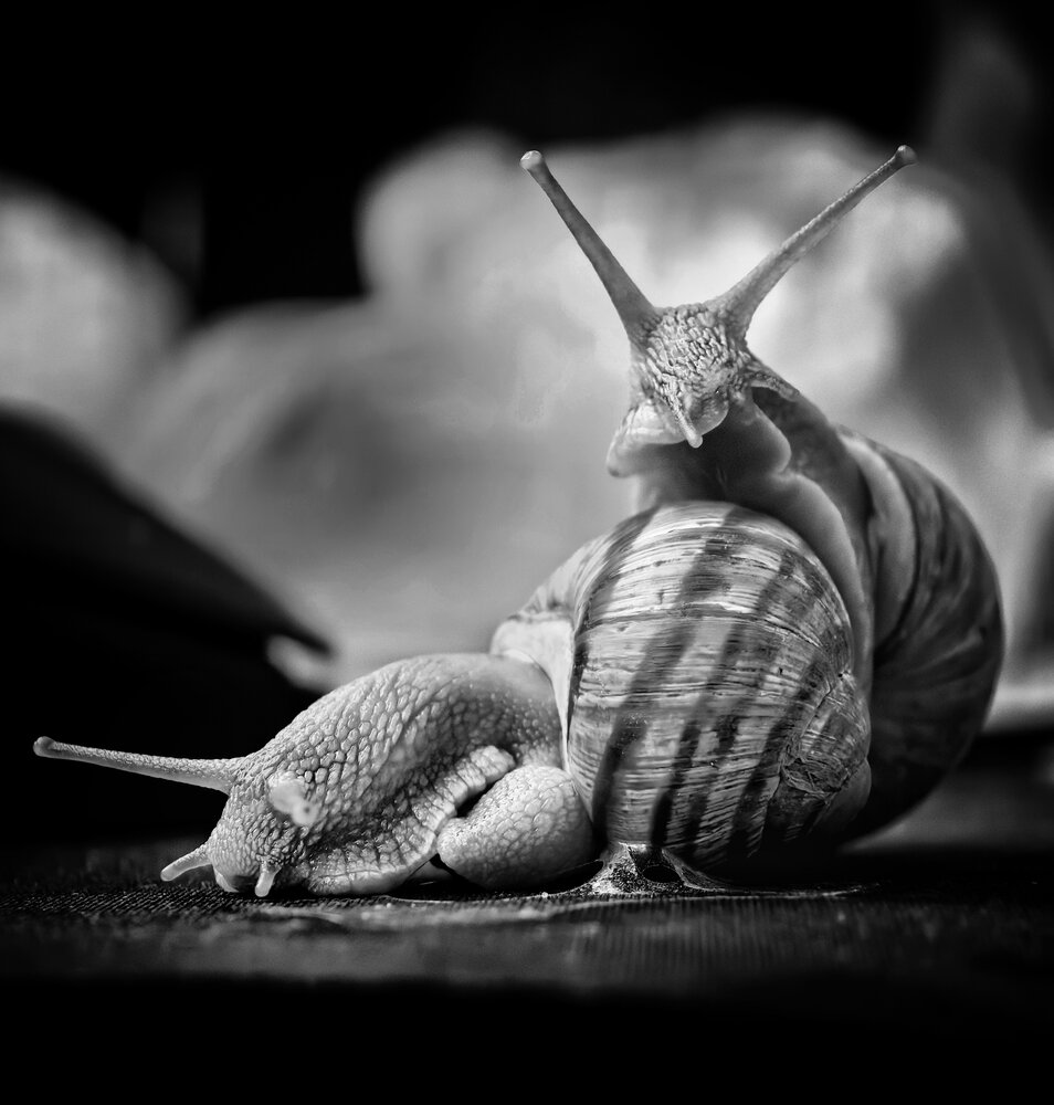 Photograph by Кривенко Владимир