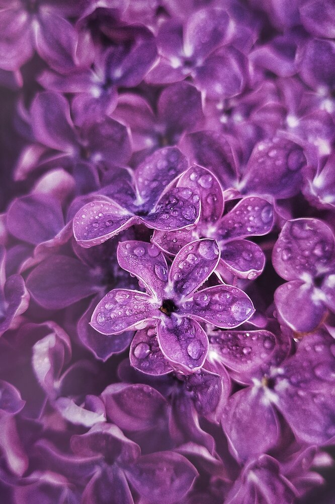 Photograph by Неро Миллена