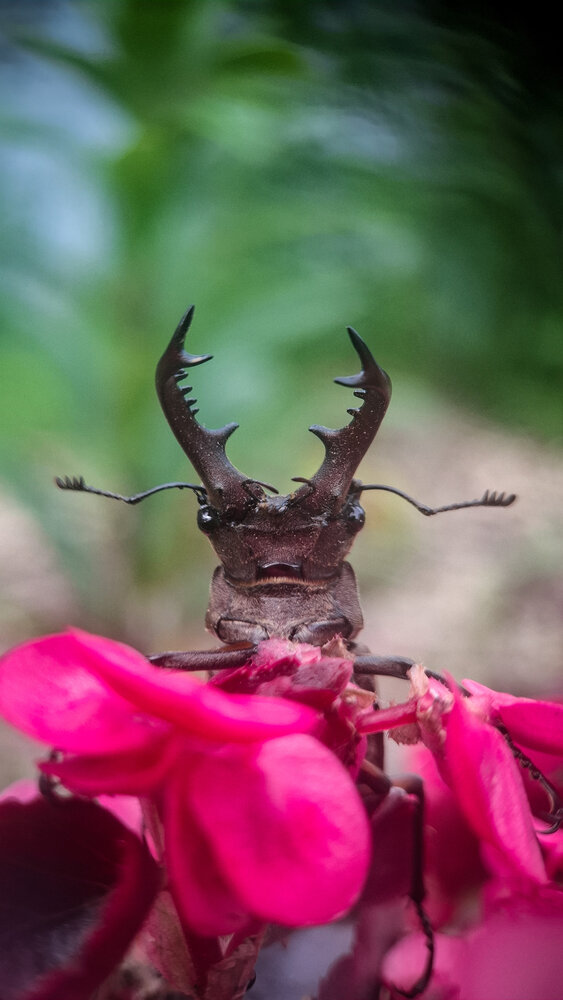Photograph by Tatiana Kirillova