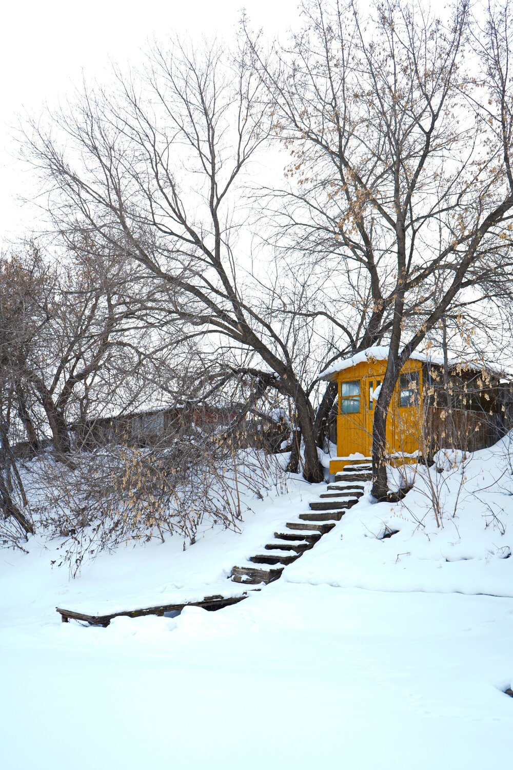 Photo #13912641