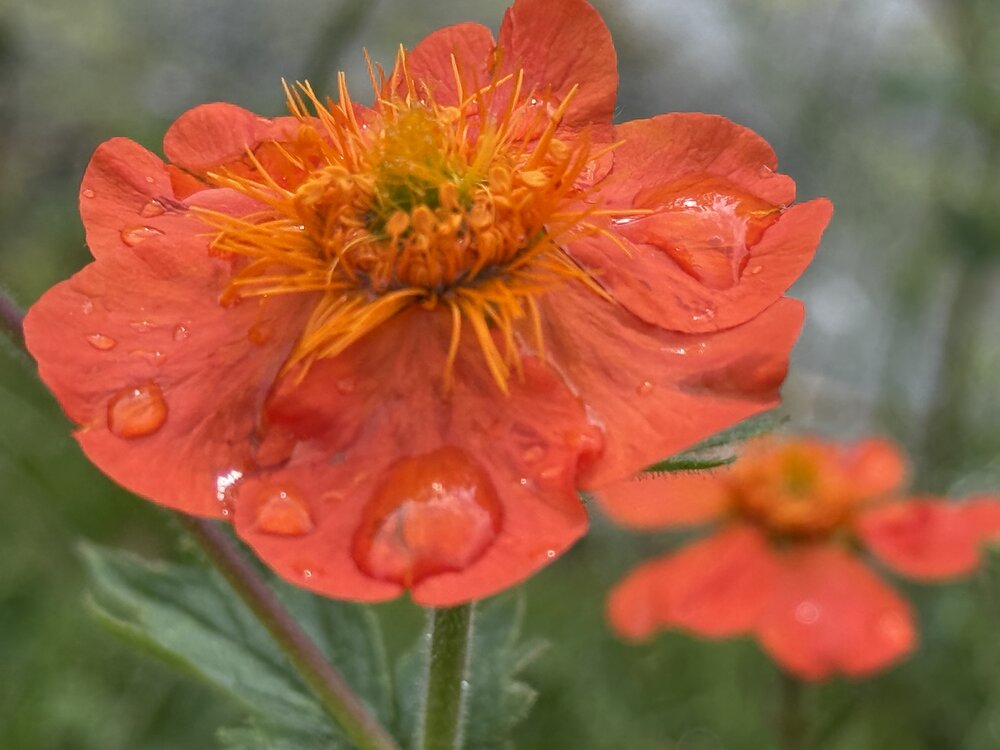 Photograph by Tanya Baydanova
