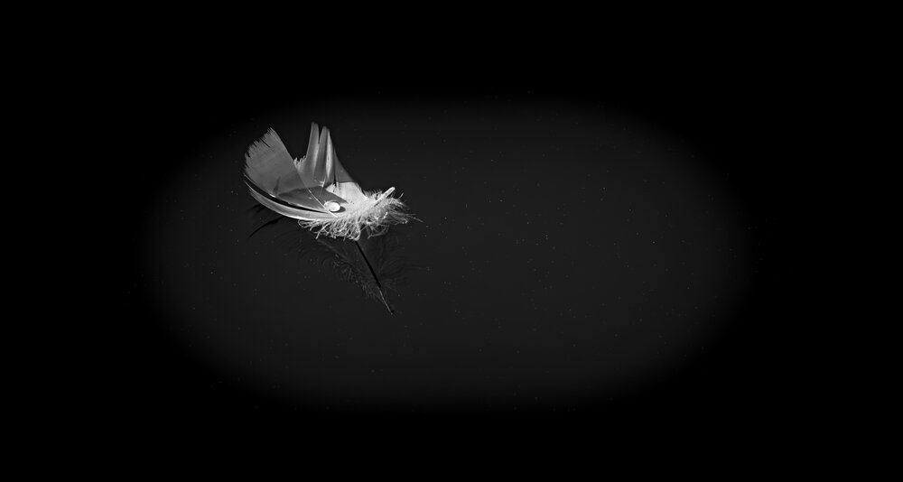 Photograph by Сергей Басов
