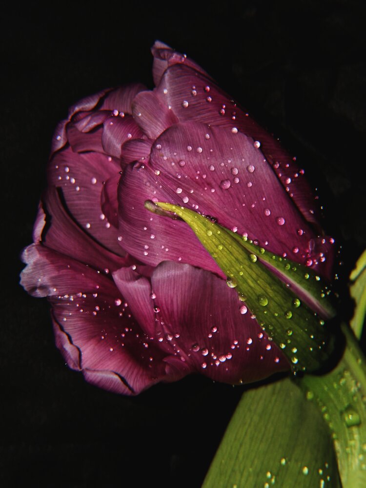 Photograph by Ирина Строкова
