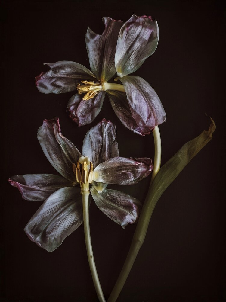 Photograph by Ирина Строкова