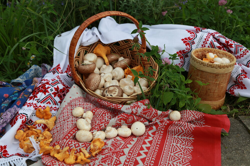 Натюрморт с грибами шампиньенами и лисичками на природе.