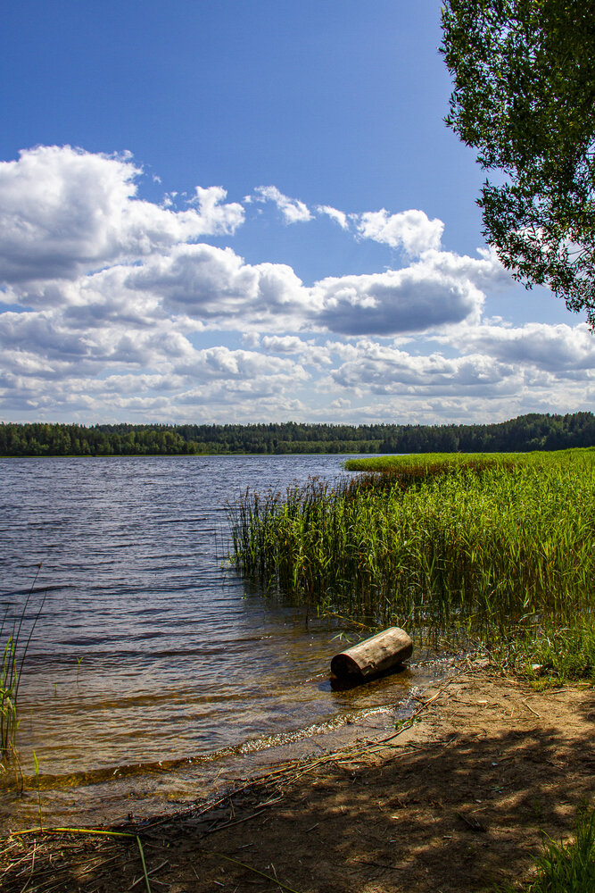 Photograph by Дмитрий Селицкий