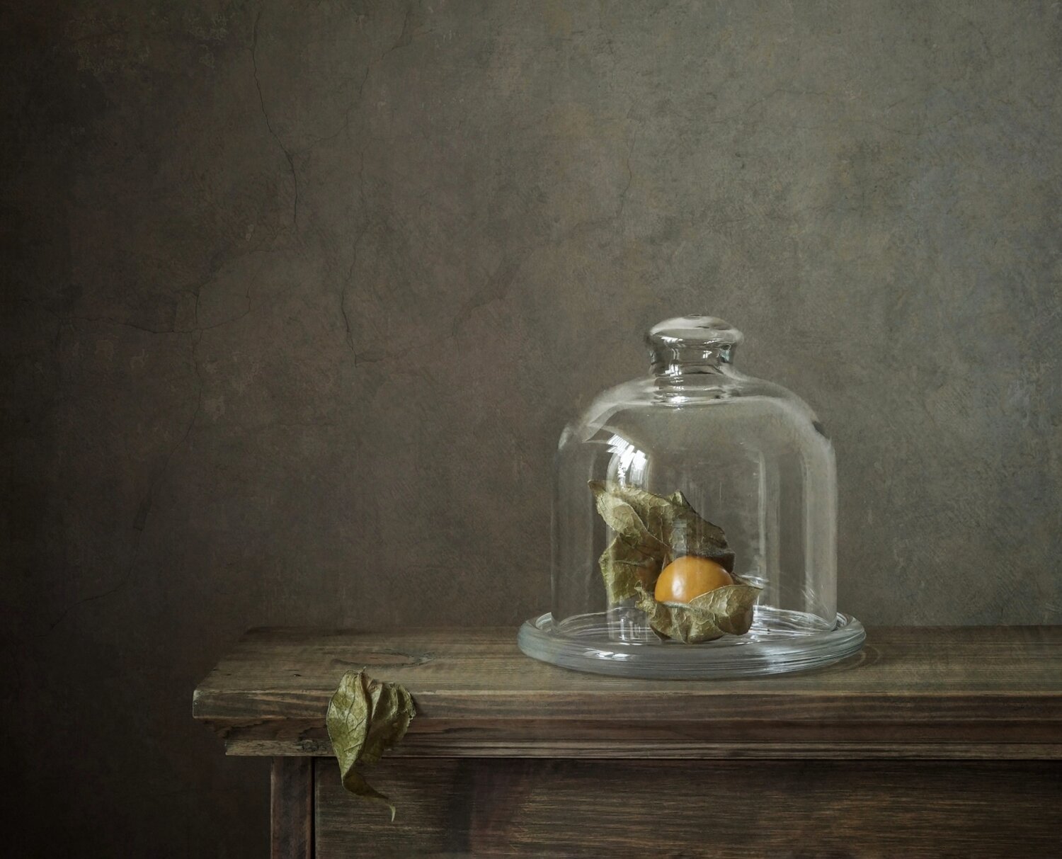 Photo #13912823