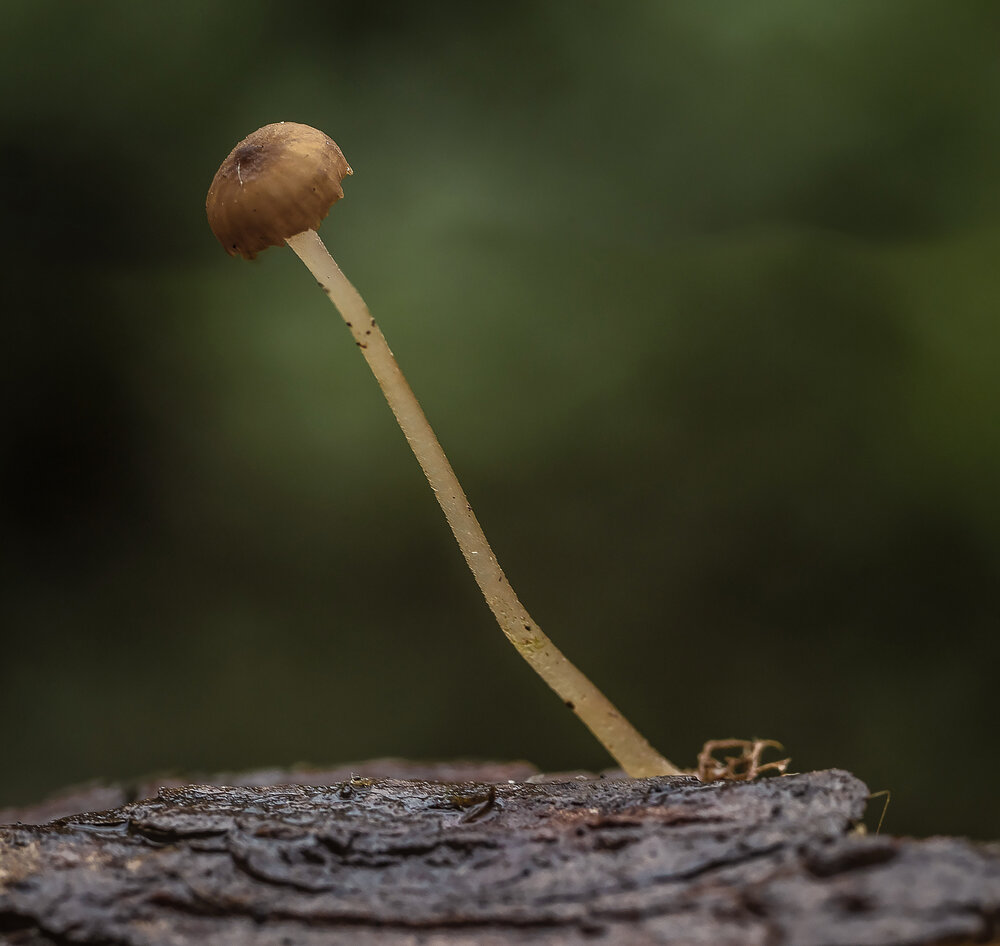 Photograph by Victoria Mogulyan