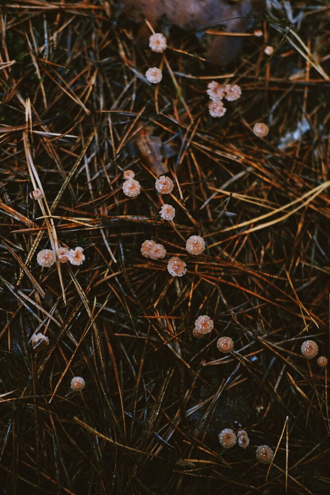 Photograph by Аида Фай