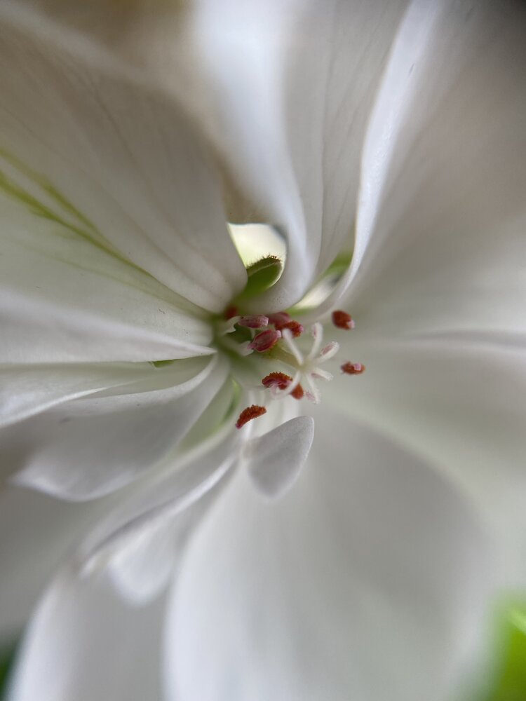 Photograph by Елена Федорова