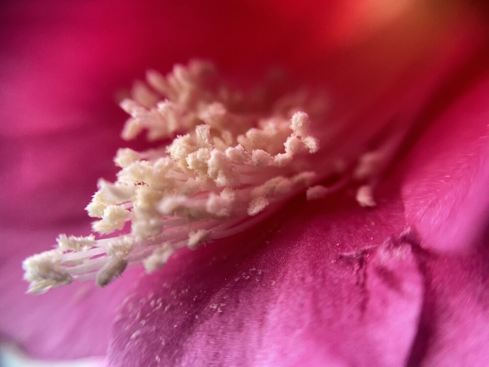 Photograph by Елена Федорова