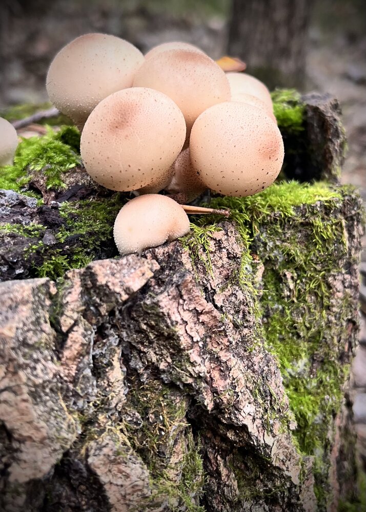 Photograph by Ольга Белоусова