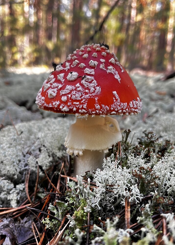 Photograph by Ольга Белоусова