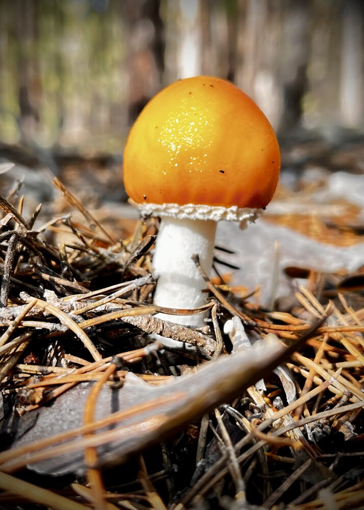 Photograph by Ольга Белоусова