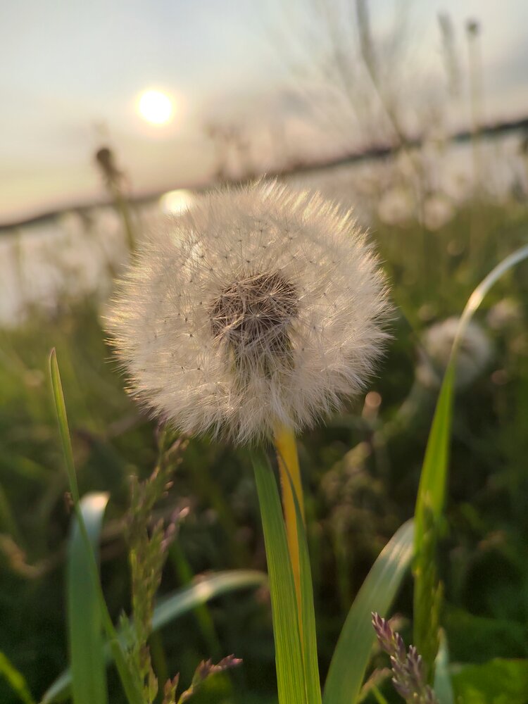 Photograph by Ольга Дружинина